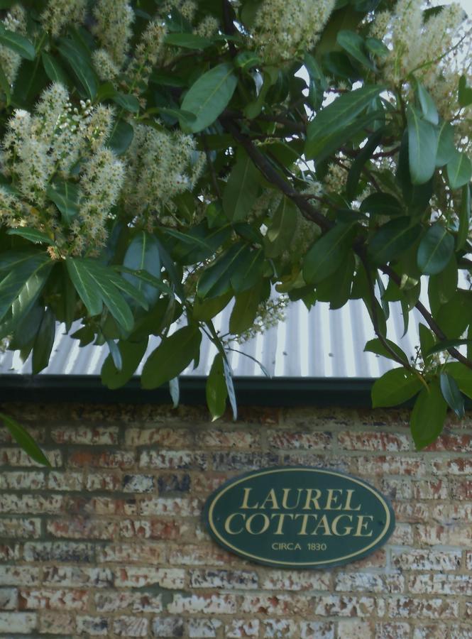 ريتشموند Laurel Cottage المظهر الخارجي الصورة